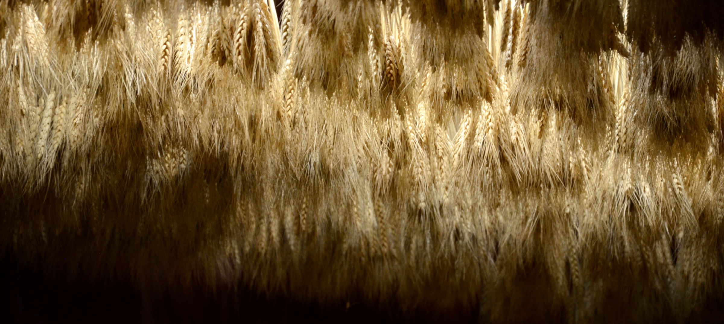 Détail décoration — Maison Soleil Montpellier