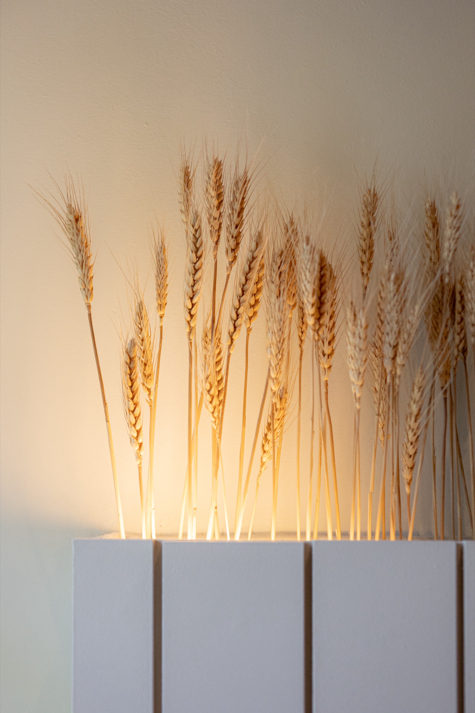 Détail décoration — Maison Soleil Montpellier